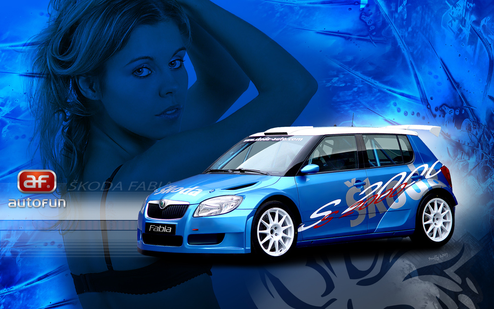 9skoda_fabia_s2000.jpg